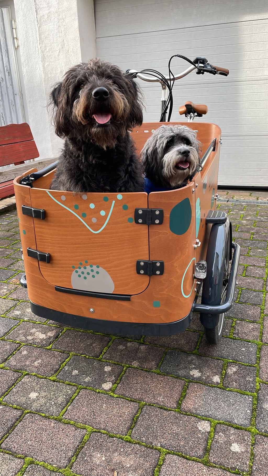 Cargo Bike Set Carnival – jadegrau